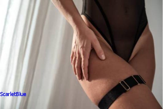 Key Factors in Companion Choice image 2